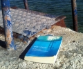 februareaders_katerinapaleta