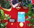 februareaders_papitsaemilia