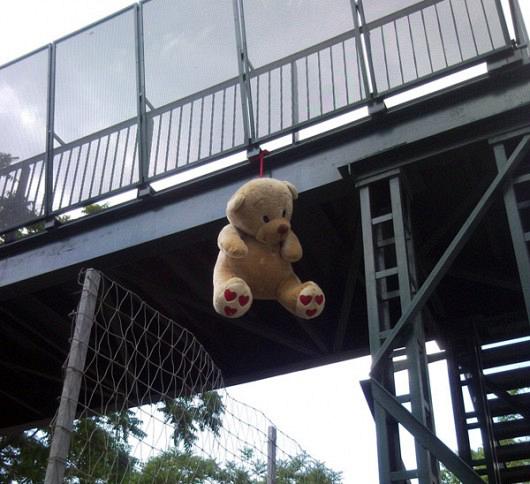 hungteddy00