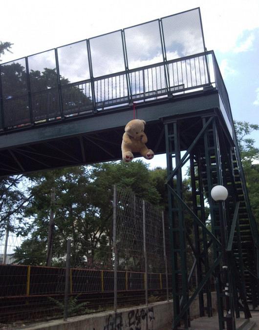 hungteddy02
