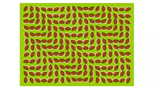 01-wd0909-Optical-Illusions