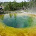 Morning-Glory-Pool-5 Morning-Glory-Pool-5