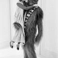 esb10