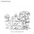 iPad_NewYorker04