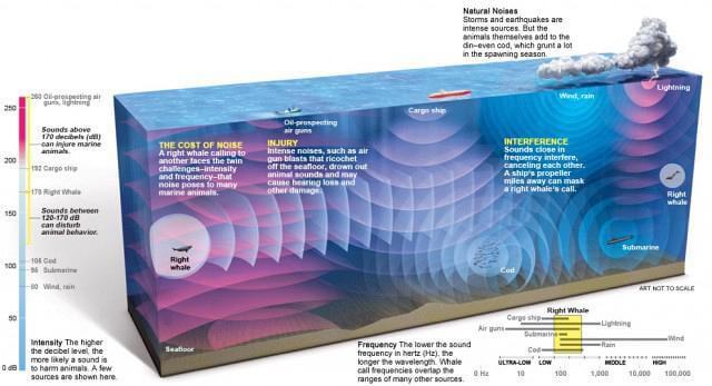 noisy-ocean-graphic noisy-ocean-graphic