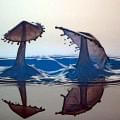 Clip_34 Clip_34