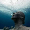 silent-evolution-11