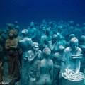 silent-evolution-5