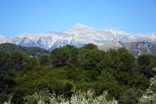 Περιμένοντας το Λιαντίνη