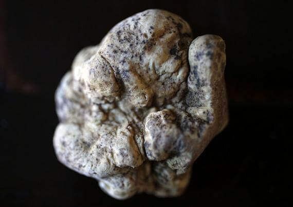truffle